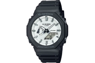 Часы Casio GA-2100WD-1A кварцевые